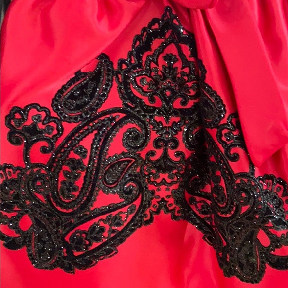 Velvet and Satin Dress - Picture 5 of 6